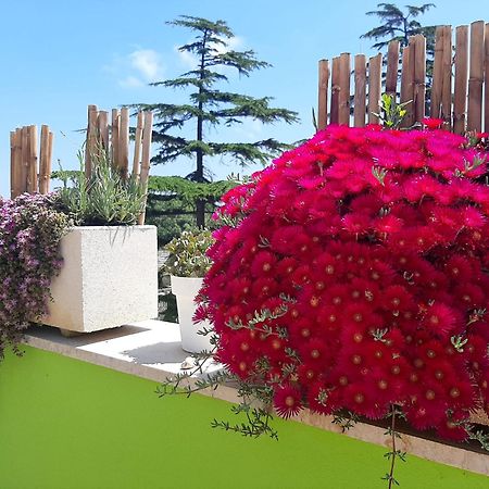 B&B Smartfit House - Room & Relax In Pescara Kültér fotó